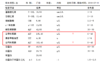 转氨酶高是怎么回事有什么危害