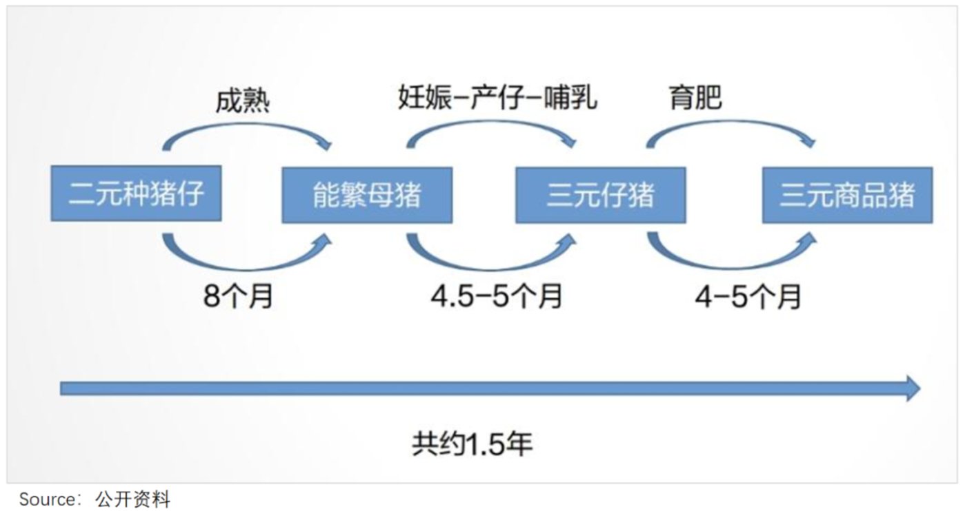 供给侧改革，救了爱优腾一命