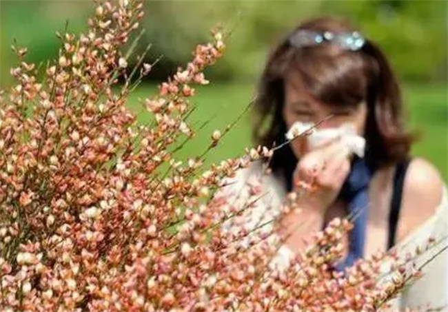花粉过敏有哪些症状