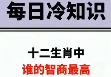 最聪明的生肖是哪一个？十二生肖智商排行榜，第一名竟然是它