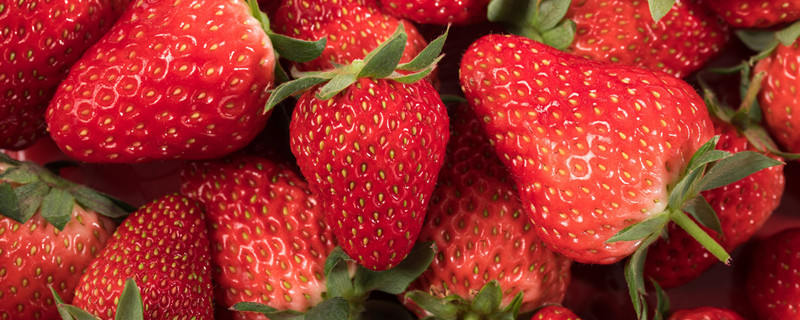 白色的草莓是什么品种