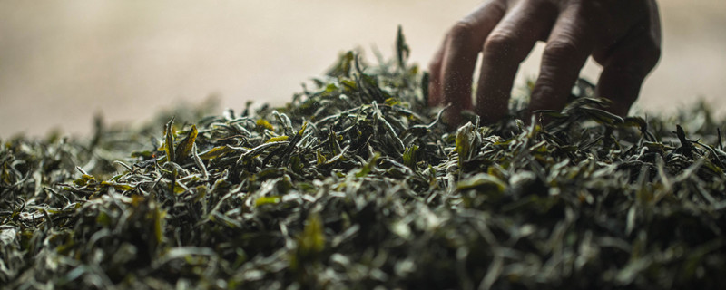 南京最正宗雨花茶要怎么存放