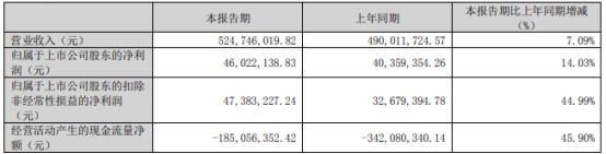 甘咨询不超7.6亿元定增获深交所通过 国泰君安建功