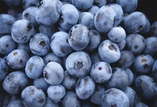 蓝莓上的白霜是被药泡过吗