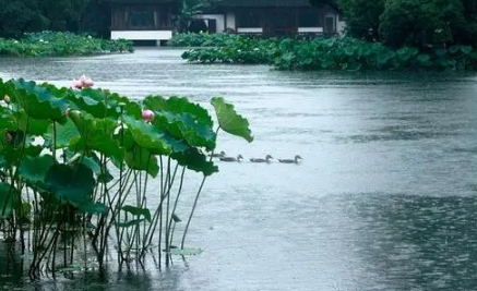 2023年苏州梅雨季节