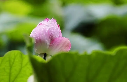 2023年苏州梅雨季节