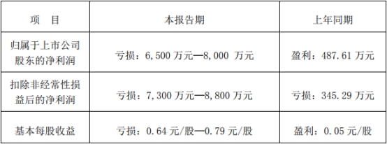 湘佳股份上半年预亏 2020年上市两次募资共14亿元