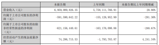 立华股份上半年亏损5.9亿 2019年上市两募资共24.8亿