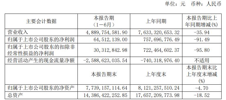 长远锂科上半年净利降9成 2021年上市两募资共59.75亿