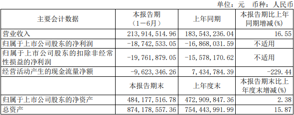 三孚新科上半年亏1874万元 2021上市募2.5亿2022亏损