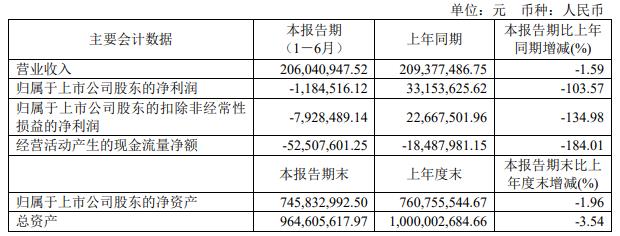 容知日新上半年转亏 正拟定增募资2021年上市募2.5亿