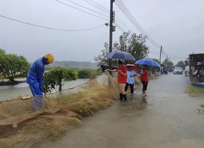 “水王”海葵肆虐华南！这一地养户购买政策性水产养殖保险，获赔了！