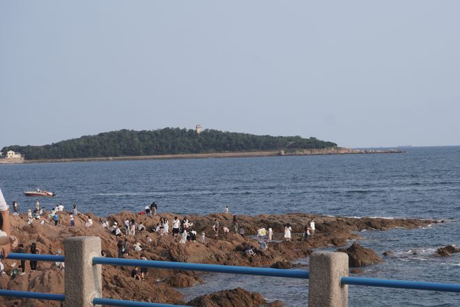 日本强排20天后：一年投入成本超百万，有渔民为生计发愁，鳗鱼价格下跌超60%