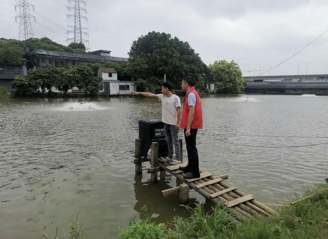 “水王”海葵肆虐华南！这一地养户购买政策性水产养殖保险，获赔了！