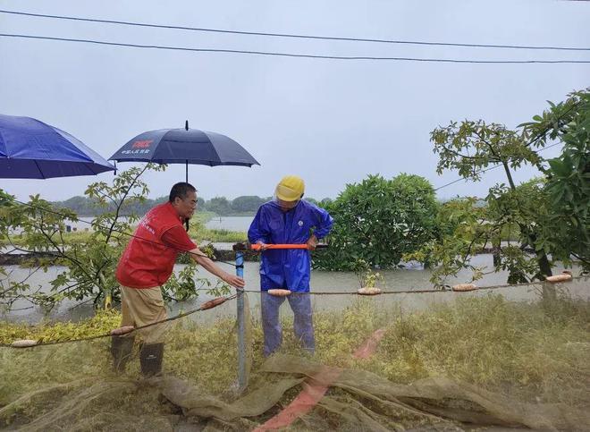 “水王”海葵肆虐华南！这一地养户购买政策性水产养殖保险，获赔了！