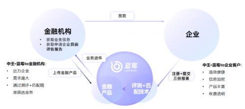 中壬蓝莓：获客风控一体化，助力金融机构信贷业务增长