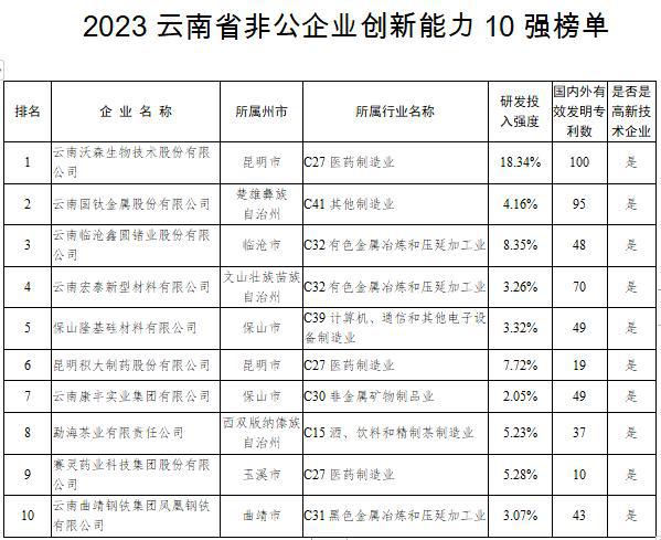 2023云南省非公企业100强发布！