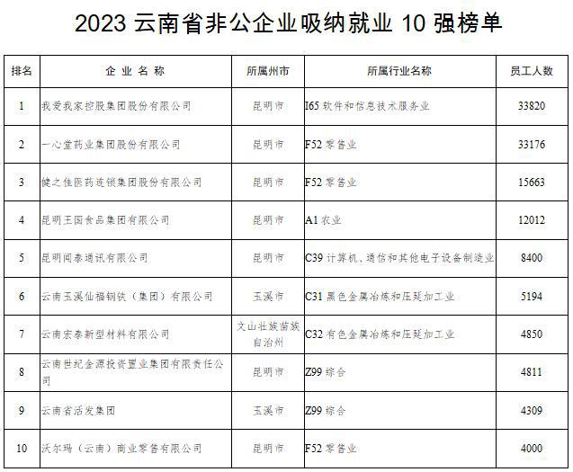 2023云南省非公企业100强发布！