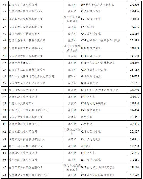 2023云南省非公企业100强发布！