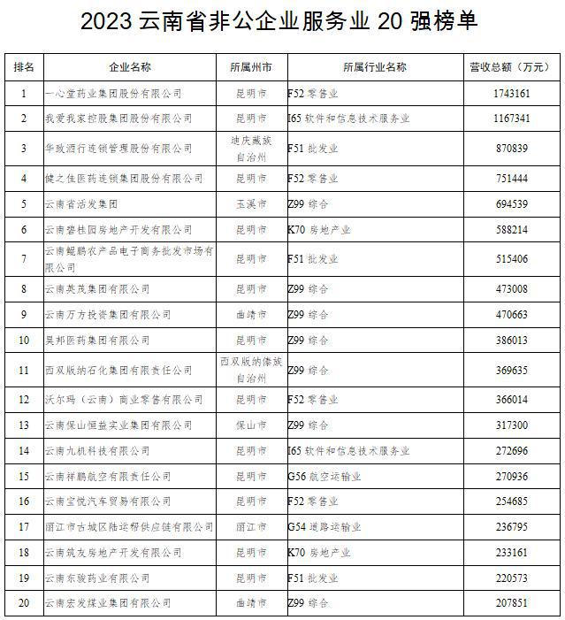 2023云南省非公企业100强发布！