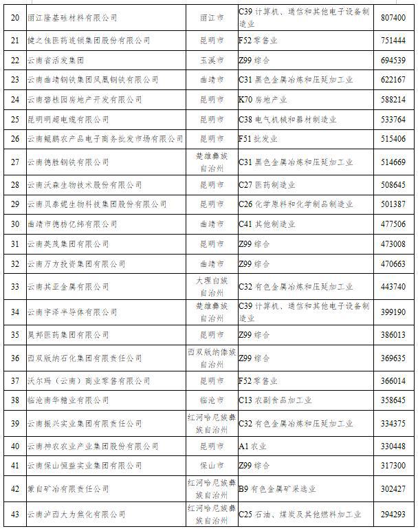 2023云南省非公企业100强发布！