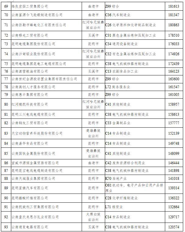 2023云南省非公企业100强发布！