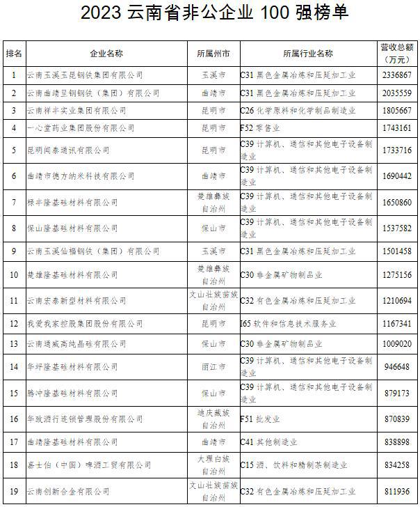 2023云南省非公企业100强发布！