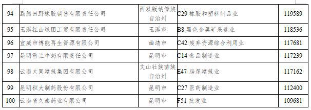 2023云南省非公企业100强发布！