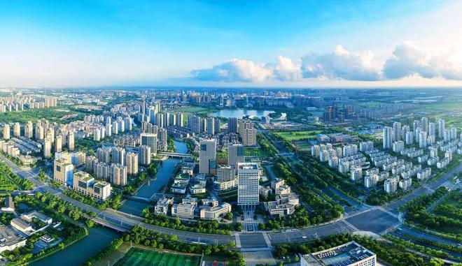 上海民营经济怎样才能从“草根”变为“树根”？