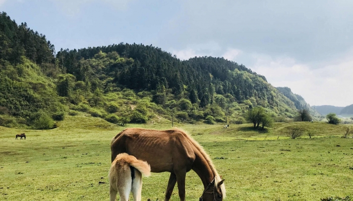 石家庄周围的旅游景点大全