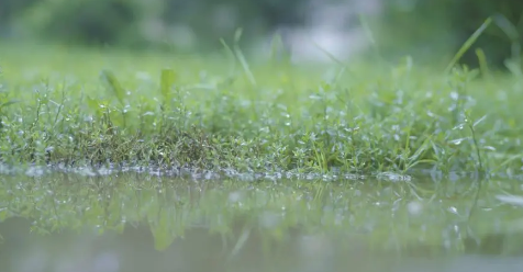 ​今年为什么这么旱不下雨2023今年下半年干旱能不能结束