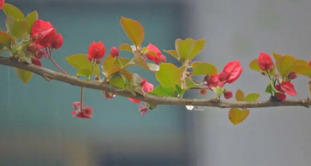 ​今年为什么这么旱不下雨2023今年下半年干旱能不能结束