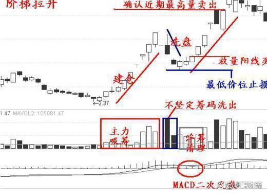 一位老股民点破：假如你的股票突然涨停了，该持有还是抛出？精辟