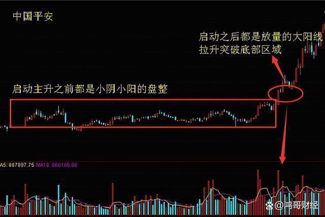 中国股市真正发财的有一种人：像“麻雀”一样炒股，值得反复细品