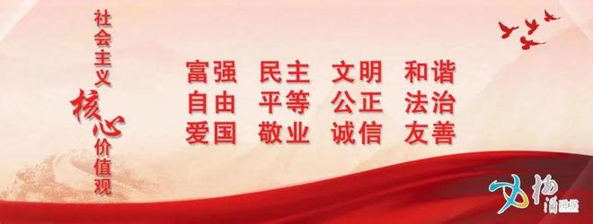 2023年度杨浦区人才安居租房补贴申请开启！补贴标准、申请条件详戳→