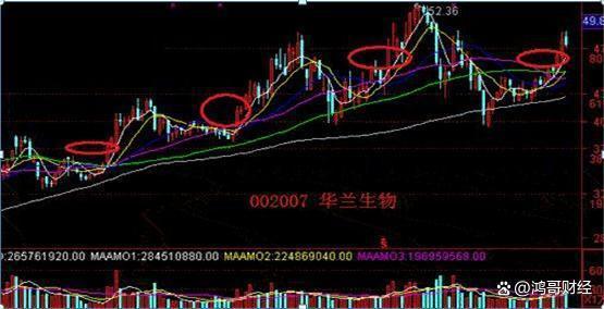 中国股市：你见过亏损最惨的股民有多惨？希望你不是最惨的！深思