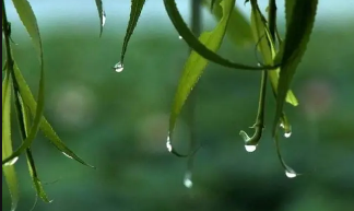 梅雨季是几月到几月