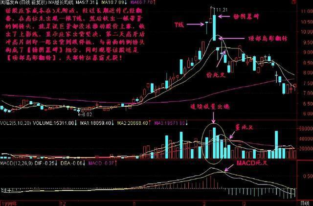 一位职业股民直言：以炒股为生的人到底是什么样的？此文很有深意