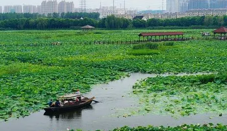 苏州2020年夏天多少天高温