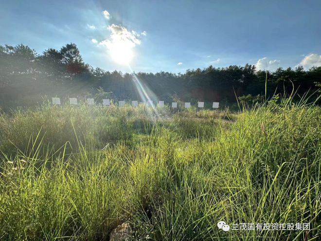 职教新城大学城片区土地招商