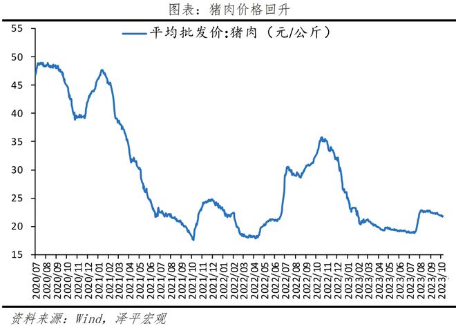 物价底部显现，社融延续回升，全力拼经济