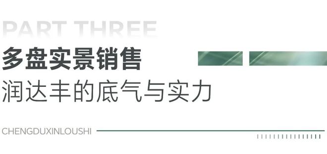 八个月超越2022全年销售额，这家房企做对了什么？