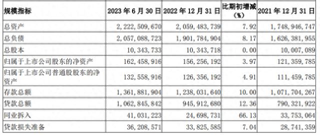 “系统重要性银行”光环下，南京银行的重重忧思