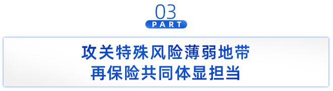 共建“一带一路”十周年：复盘保险业，如何“立体式”护航！