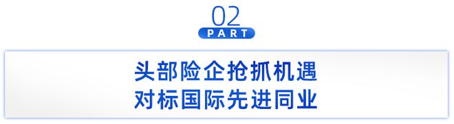 共建“一带一路”十周年：复盘保险业，如何“立体式”护航！