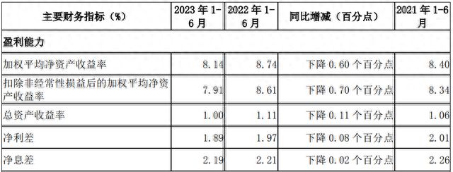 “系统重要性银行”光环下，南京银行的重重忧思