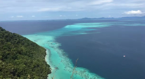 抚仙湖为什么水很清澈