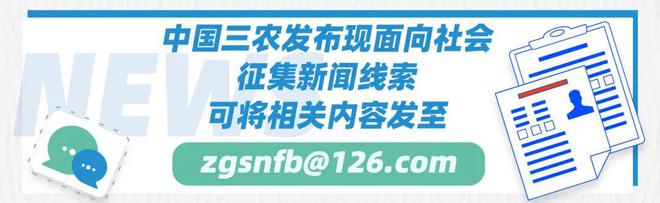 城中村改造，改什么？怎么改？专家解答→