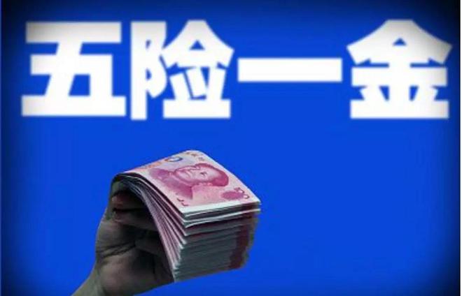 “七险三金”是什么鬼？解读来了