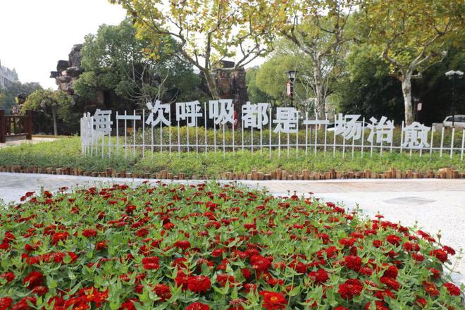 正式完工！奉浦街道奉浦苑小区旧住房“换新貌”